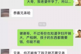 曲阳为什么选择专业追讨公司来处理您的债务纠纷？